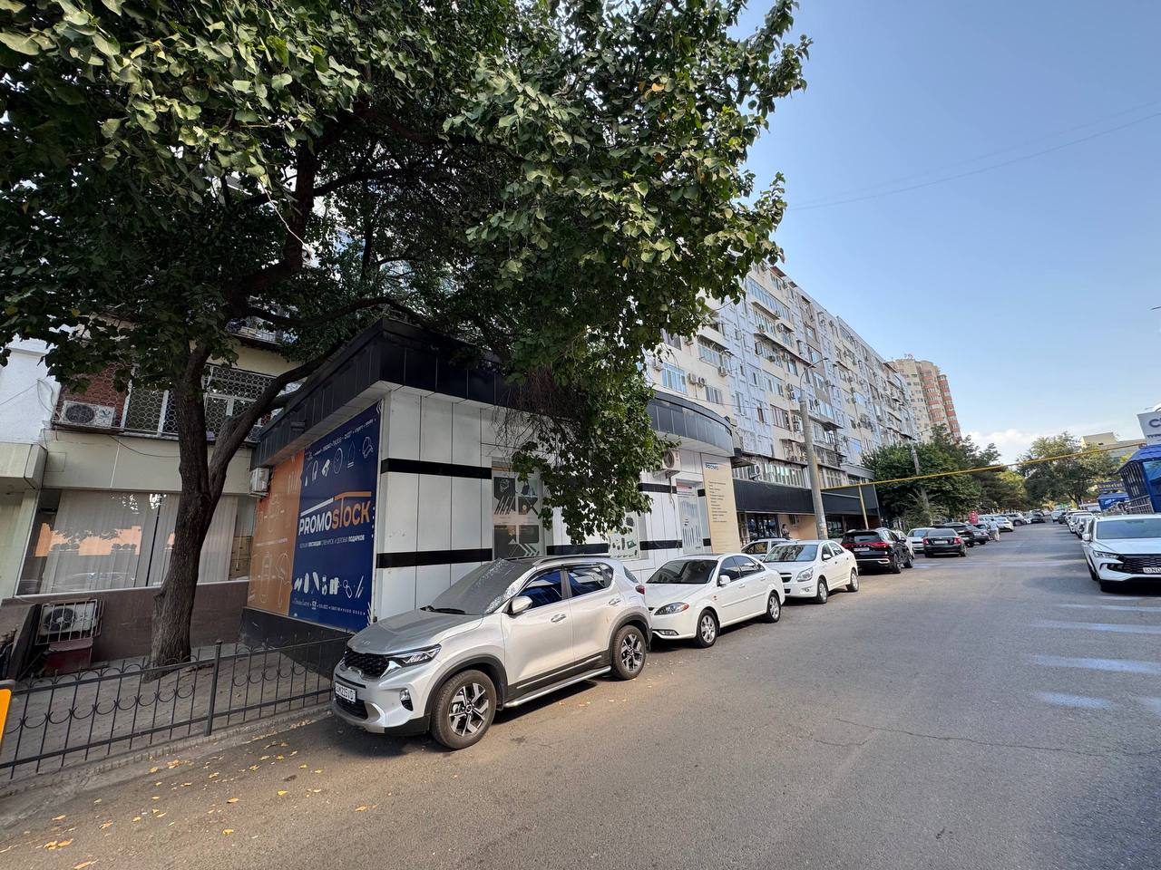 Коммерческое помещение 250 м²