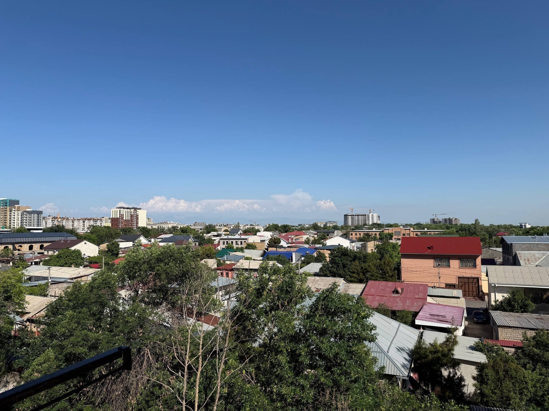 3-комн. квартира, 70 м² — фото 3